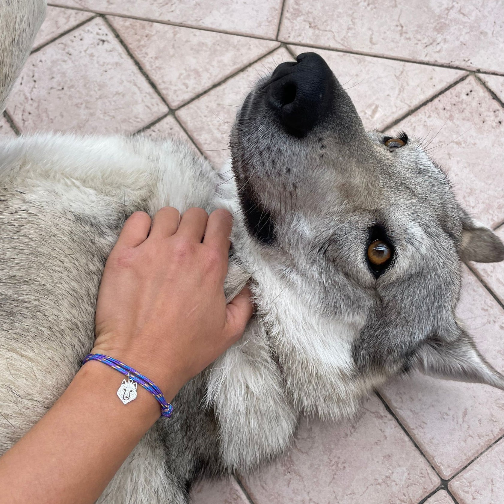 MYOSPARK Braccialetto Con Lupo – Perline Elastiche Con Ciondolo Lupo – Gioiello Ispiratore Per Ragazze E Amanti Degli Animali – Regalo Con Biglietto - 2