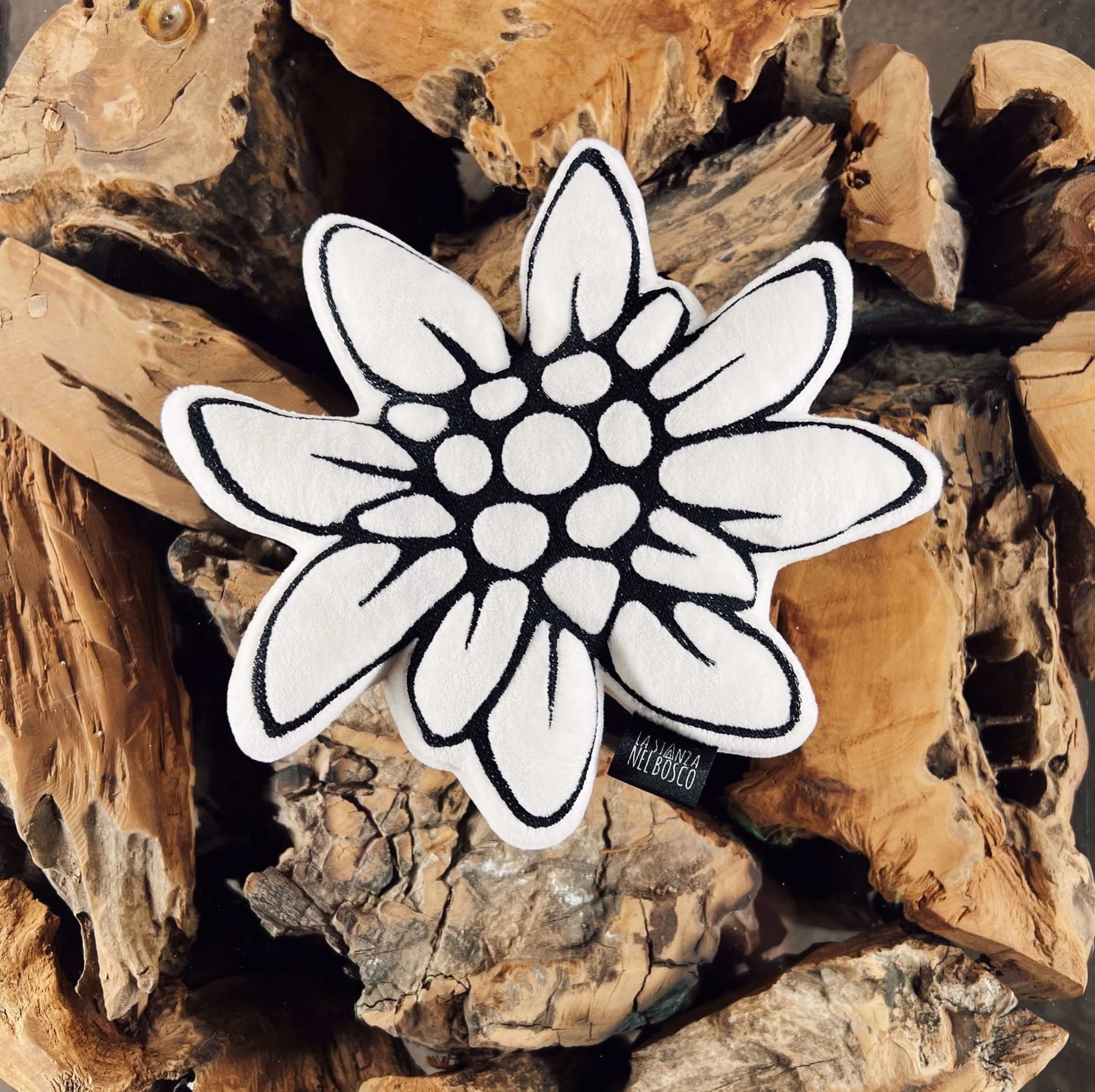 Stella ⭐️ Alpina - La stanza nel bosco