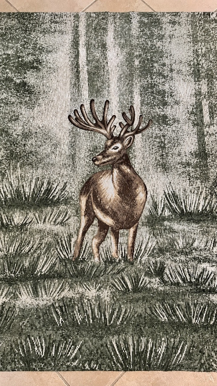 <p>Il silenzio del bosco e il calore di una casa che sa di montagna.</p>