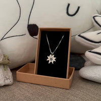 Stella delle Alpi - collana e medaglia argento 925