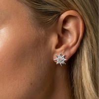 Orecchini Stella Apina argento 925